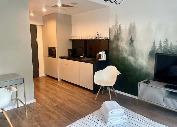 Studio 208 W Centrum Z Klimatyzacja